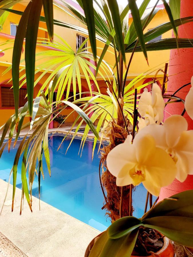 Hotel Casa Melaque 산 파트리시오 멜라케 외부 사진